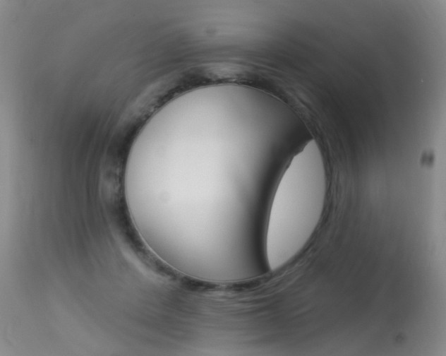 X0000113940408200909250944