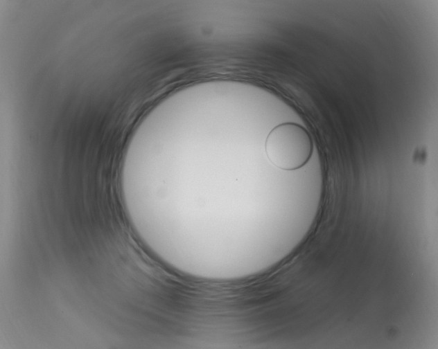 X0000113940409200909250944