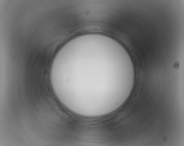 X0000113940411200909250944