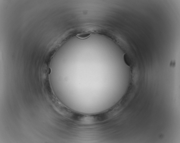 X0000113940413200909250944
