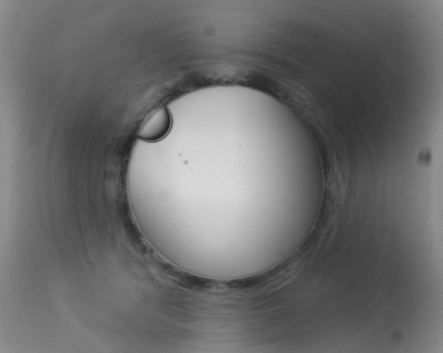 X0000113940416200909250944
