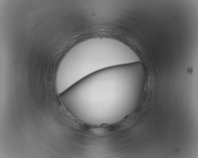 X0000113940417200909250944