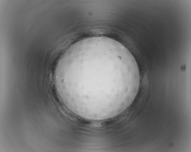 X0000113940418200909250944