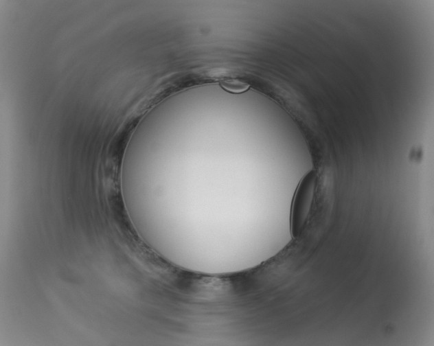 X0000113940421200909250944