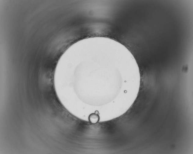 X0000113940423200909250944