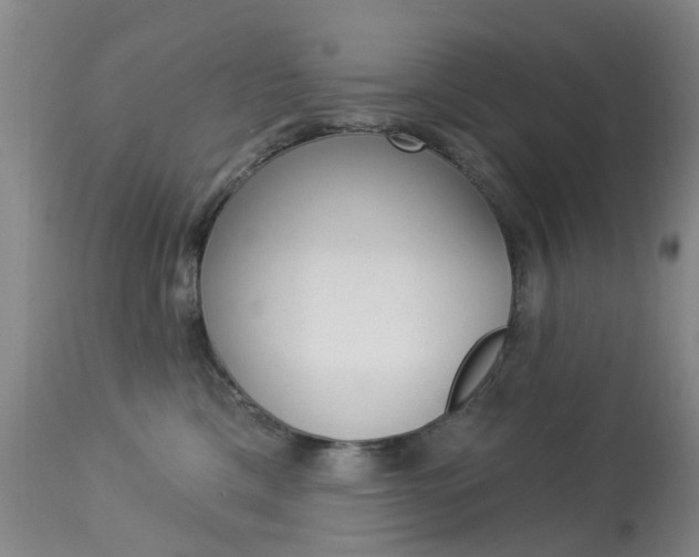 X0000113940425200909250944