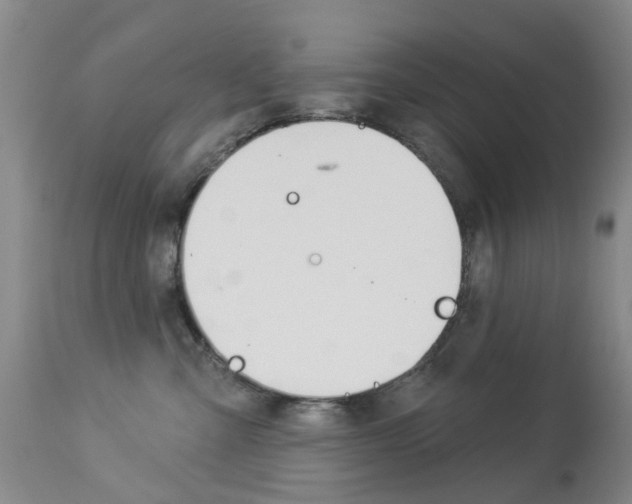 X0000113940427200909250944