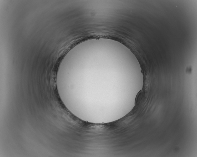 X0000113940428200909250944