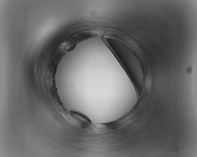 X0000113940429200909250944