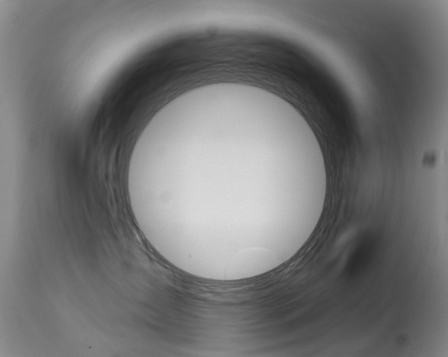 X0000113940431200909250944