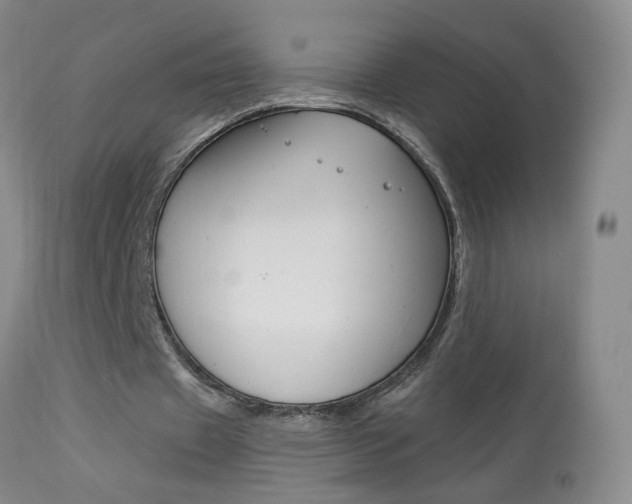 X0000113940433200909250943