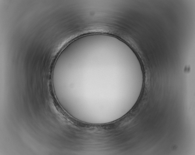 X0000113940434200909250943