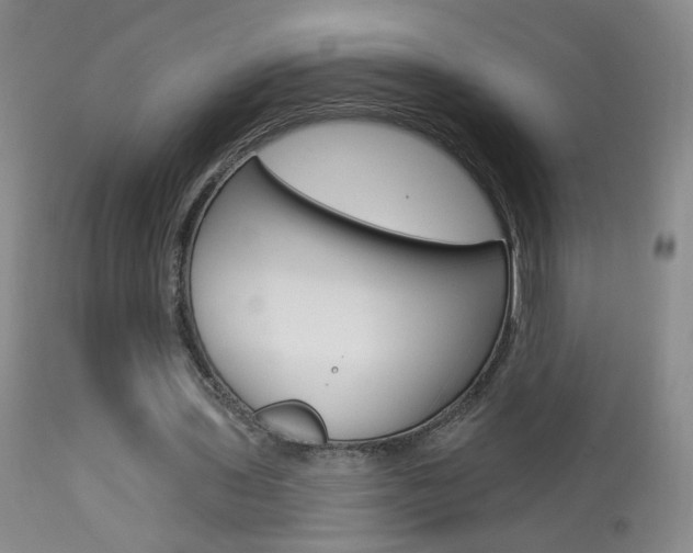 X0000113940435200909250943