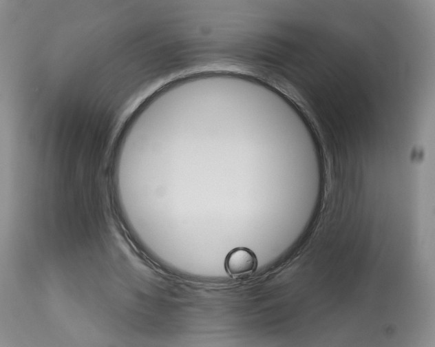 X0000113940436200909250943