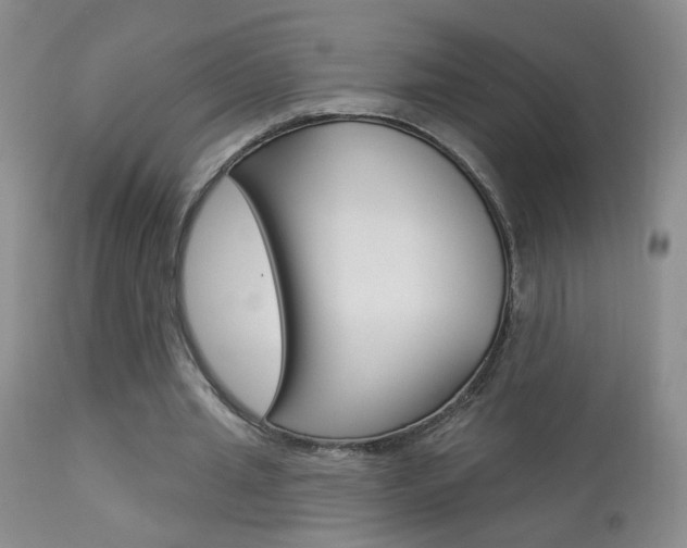 X0000113940437200909250943