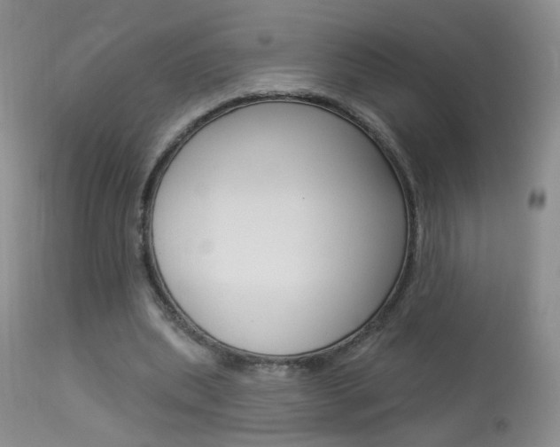 X0000113940439200909250943