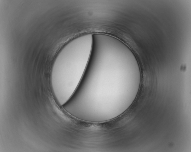 X0000113940441200909250943
