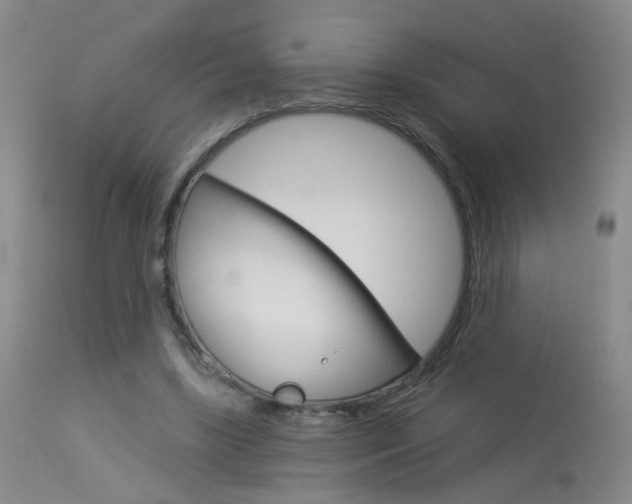X0000113940443200909250943