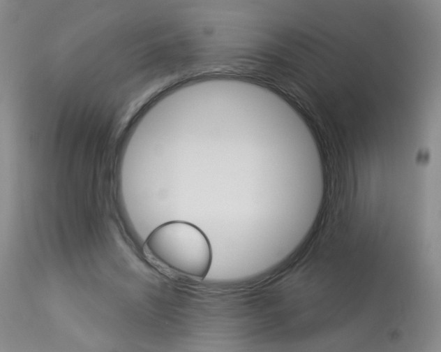 X0000113940444200909250943