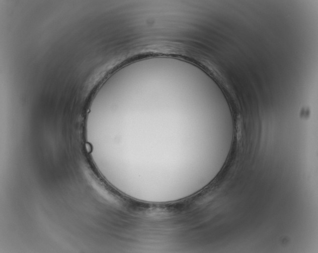 X0000113940445200909250943