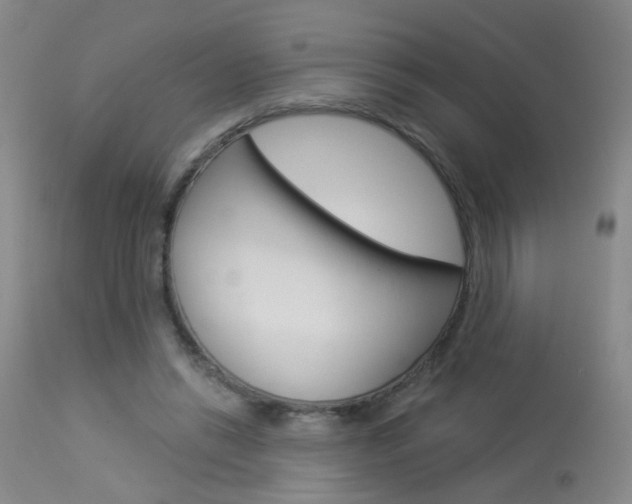 X0000113940446200909250943