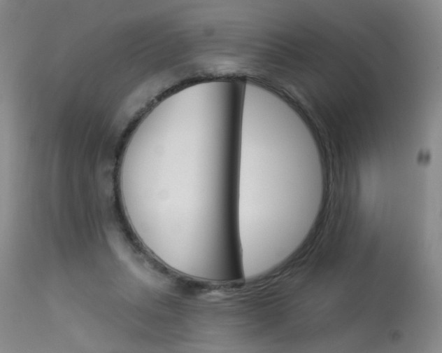X0000113940447200909250943