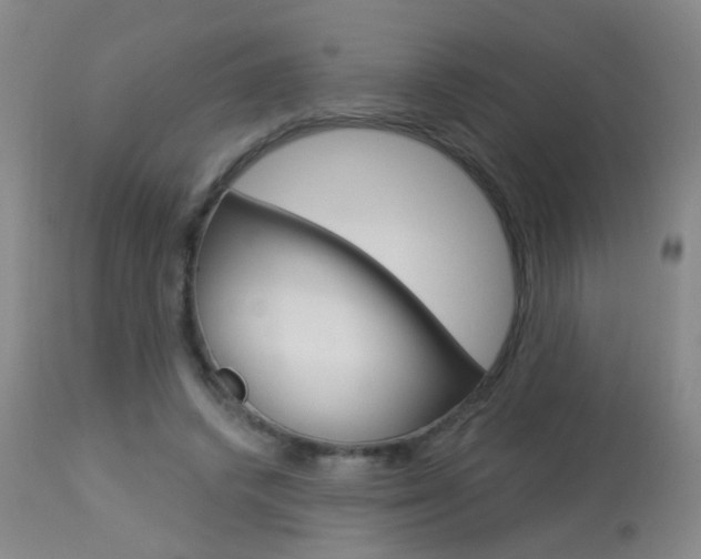 X0000113940448200909250943