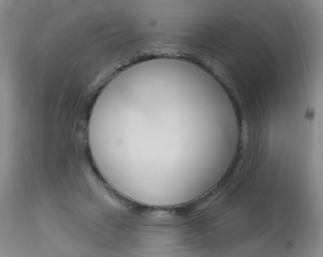 X0000113940449200909250943