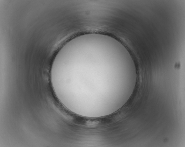 X0000113940450200909250943