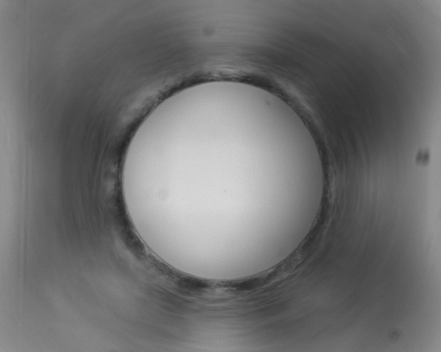 X0000113940451200909250943