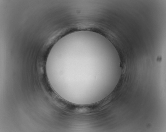 X0000113940452200909250943