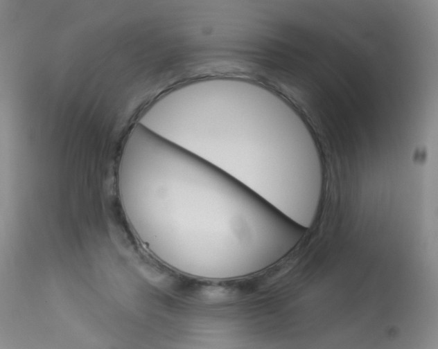X0000113940453200909250943