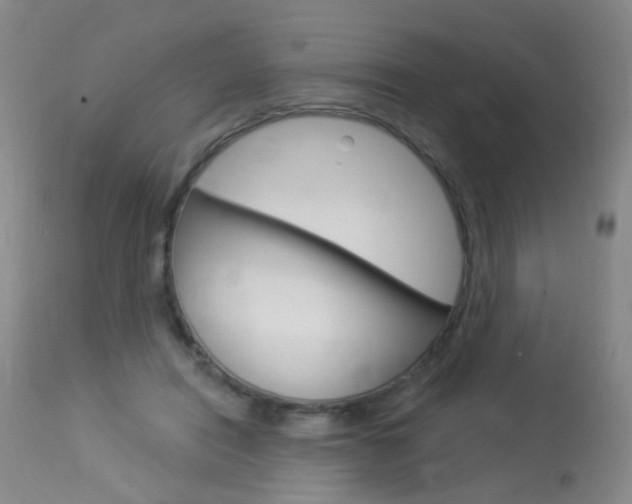 X0000113940454200909250943