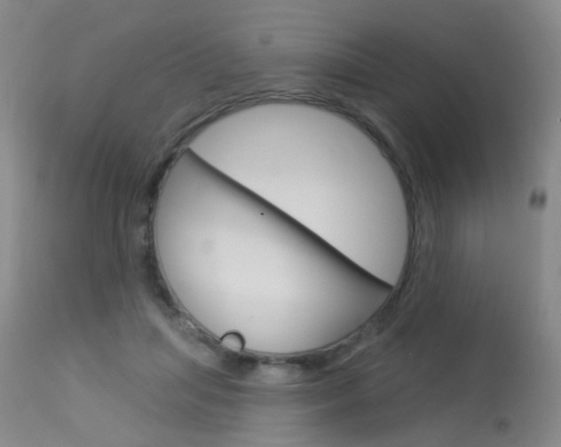 X0000113940455200909250943