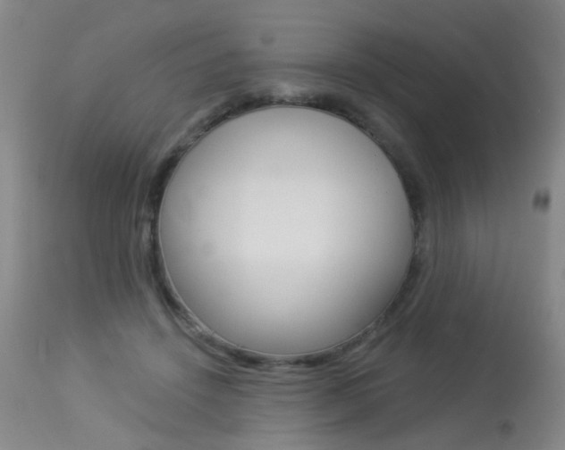 X0000113940456200909250943