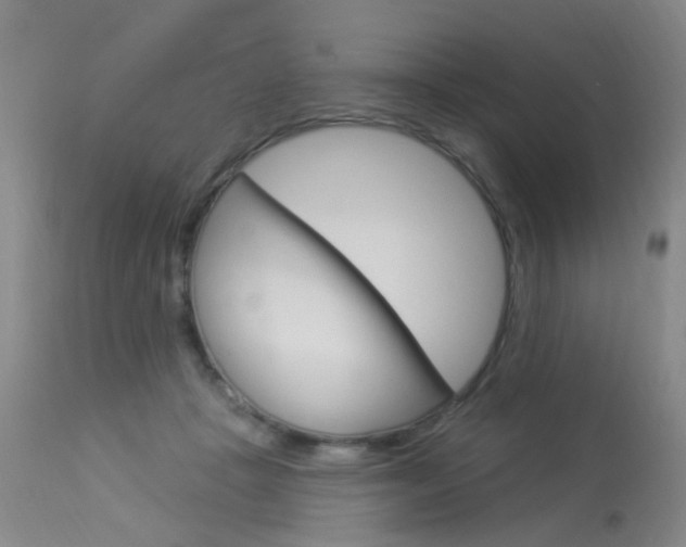X0000113940457200909250943