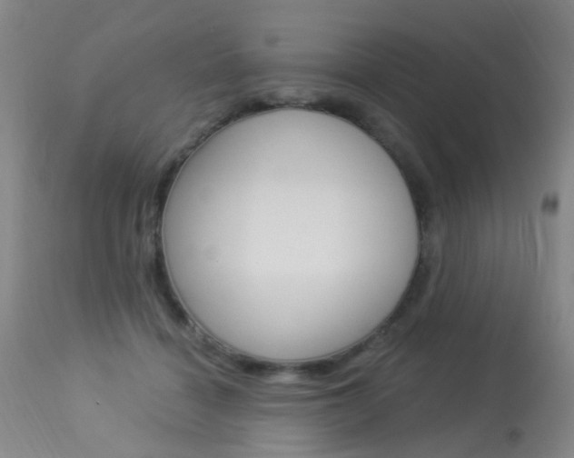 X0000113940460200909250943