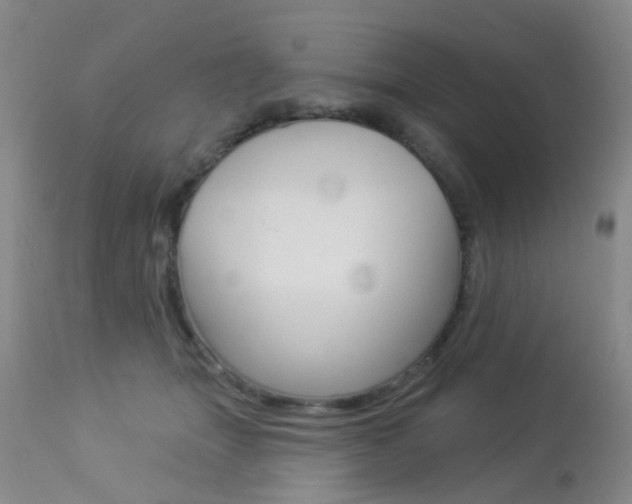 X0000113940463200909250943