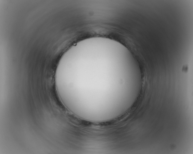 X0000113940464200909250943
