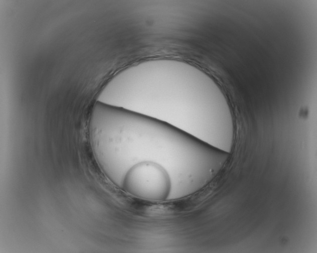 X0000113940465200909250943