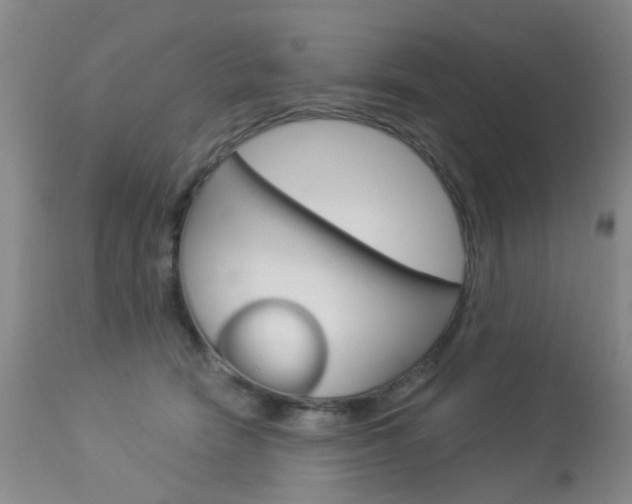 X0000113940466200909250943