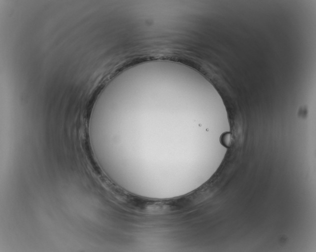X0000113940470200909250943