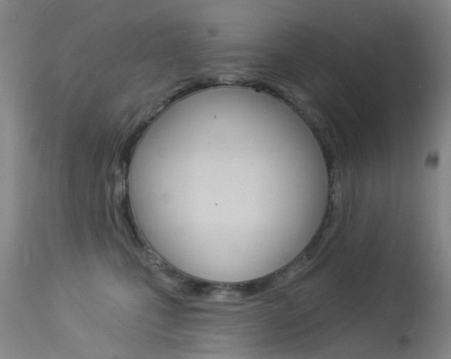 X0000113940471200909250943