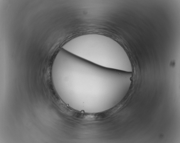 X0000113940473200909250943