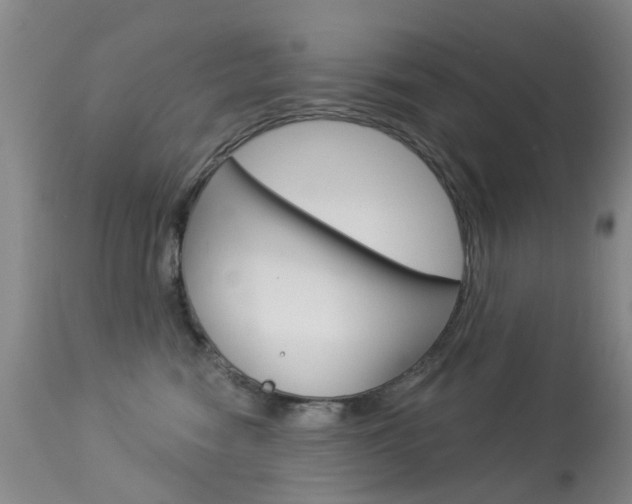 X0000113940474200909250943