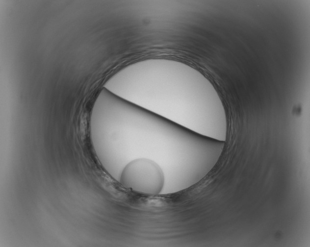 X0000113940475200909250944