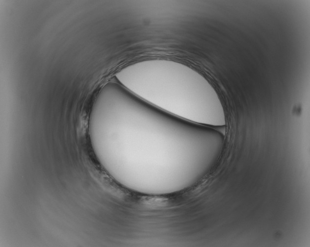X0000113940476200909250944