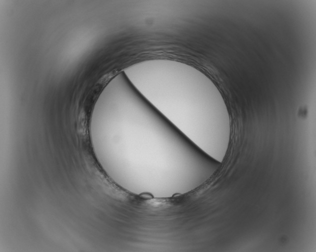 X0000113940477200909250944