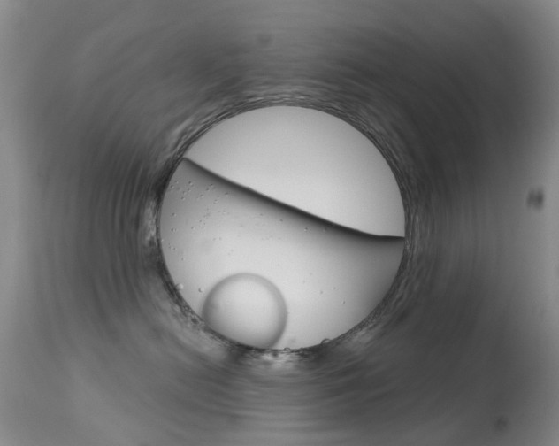 X0000113940478200909250944