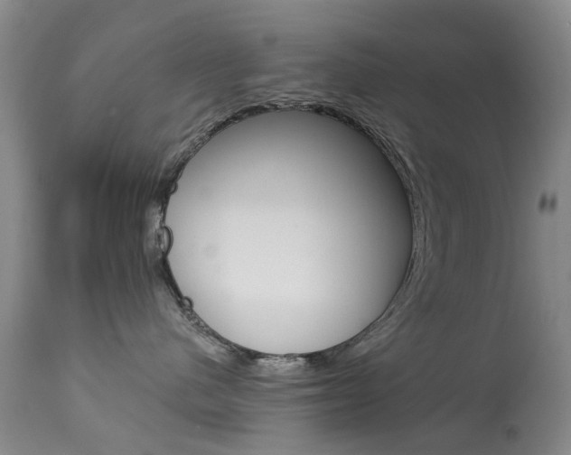 X0000113940480200909250944